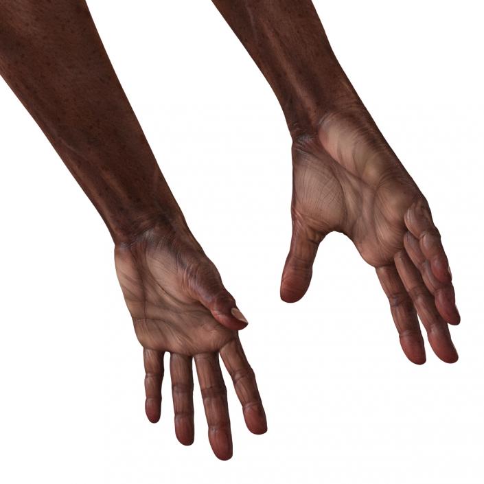 3D Old African Man Hands