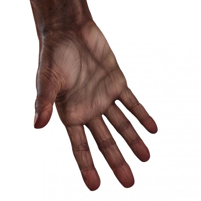 3D Old African Man Hands