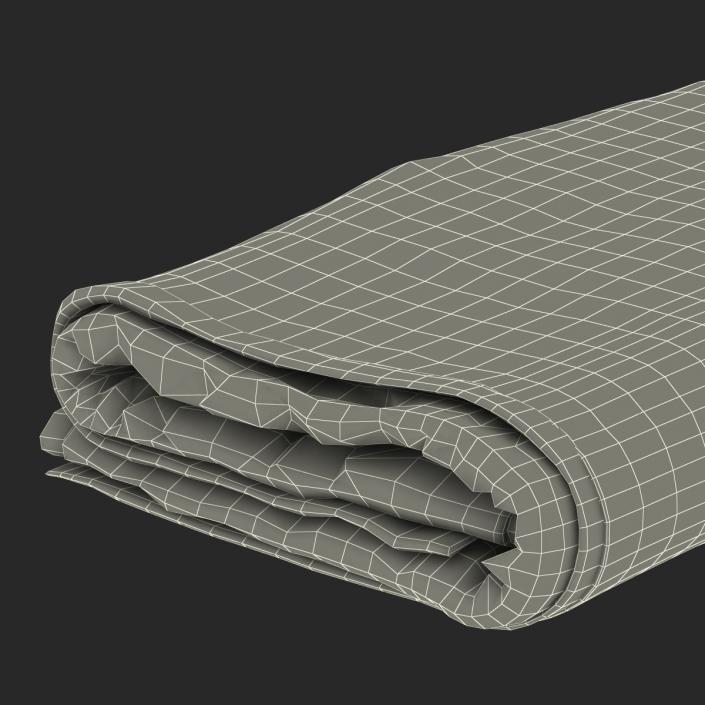 3D Beach Towel 3 model