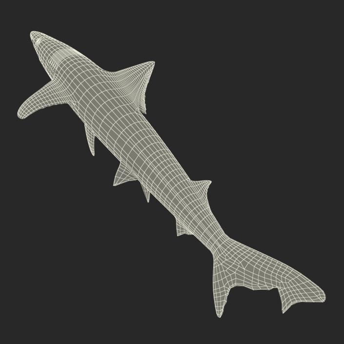 School Shark Rigged 3D model