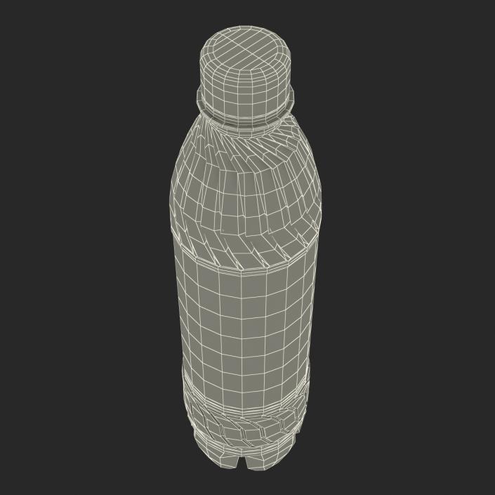 3D model Plastic Water Bottle