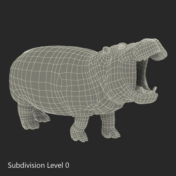 Hippopotamus Pose 2 3D model