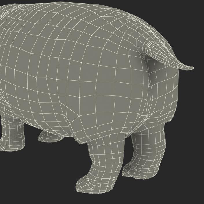 Hippopotamus 3D