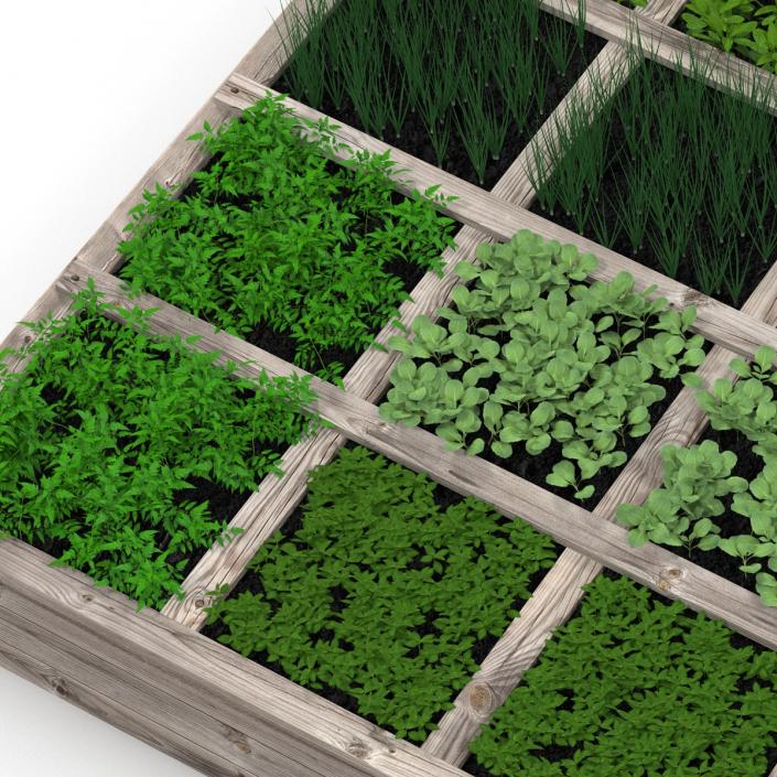 3D Vegetable Garden