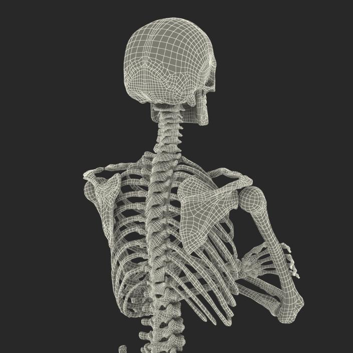 3D Human Male Skeleton Pose 2