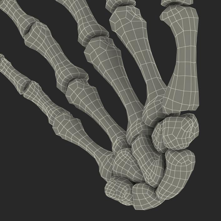 3D Human Hand Bones