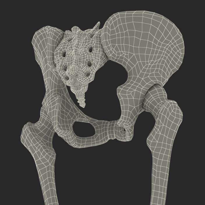 3D Female Lower Body Skeleton
