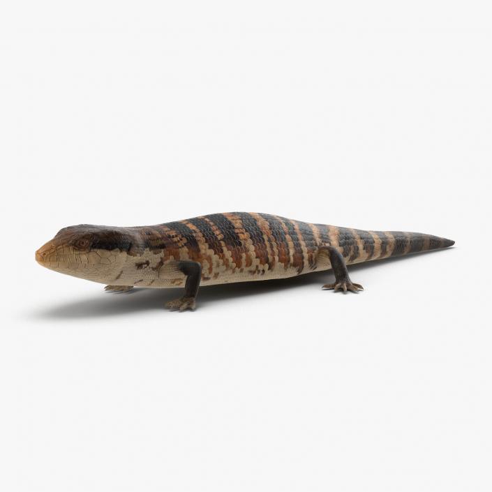 3D model Lizards Collection 2