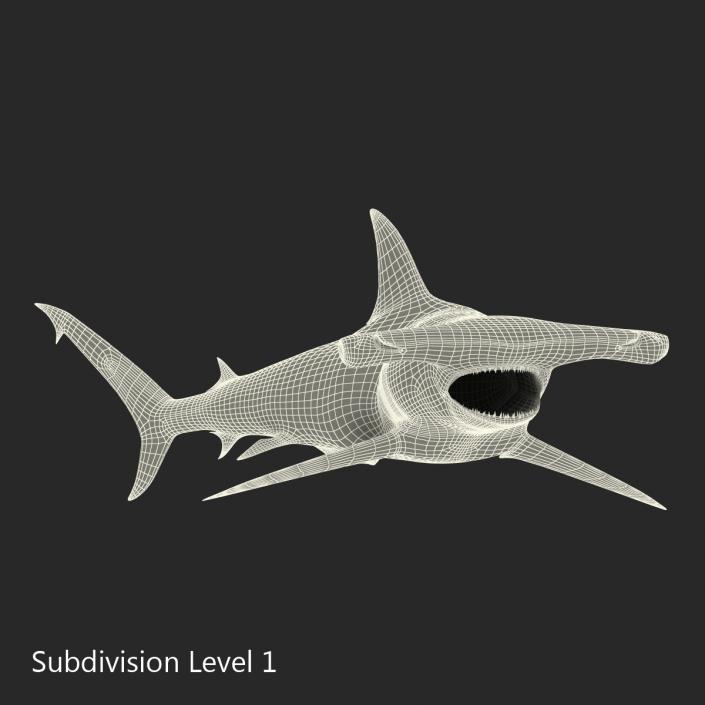 Great Hammerhead Shark Pose 2 3D model