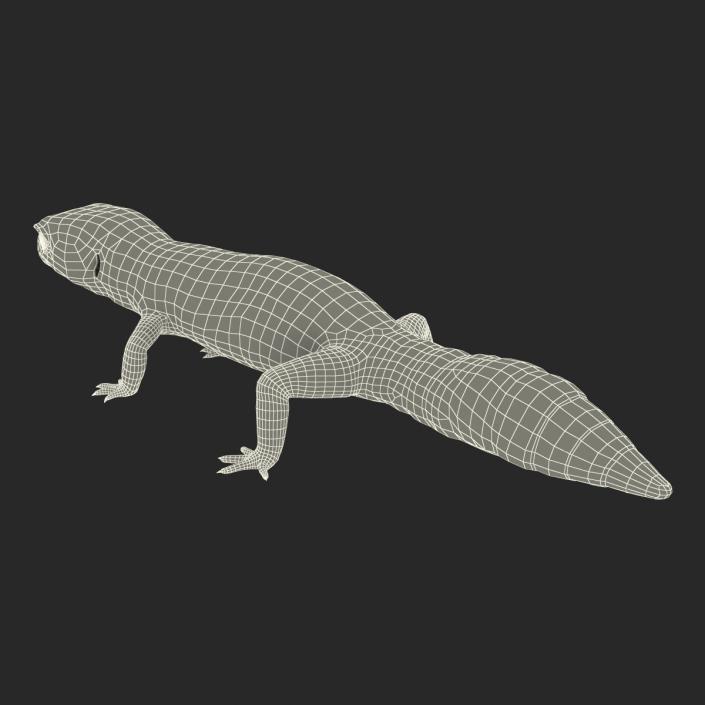 3D model Leopard Gecko Rigged