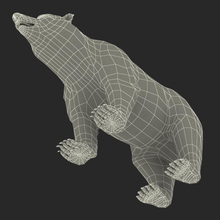 Brown Bear with Fur 3D model