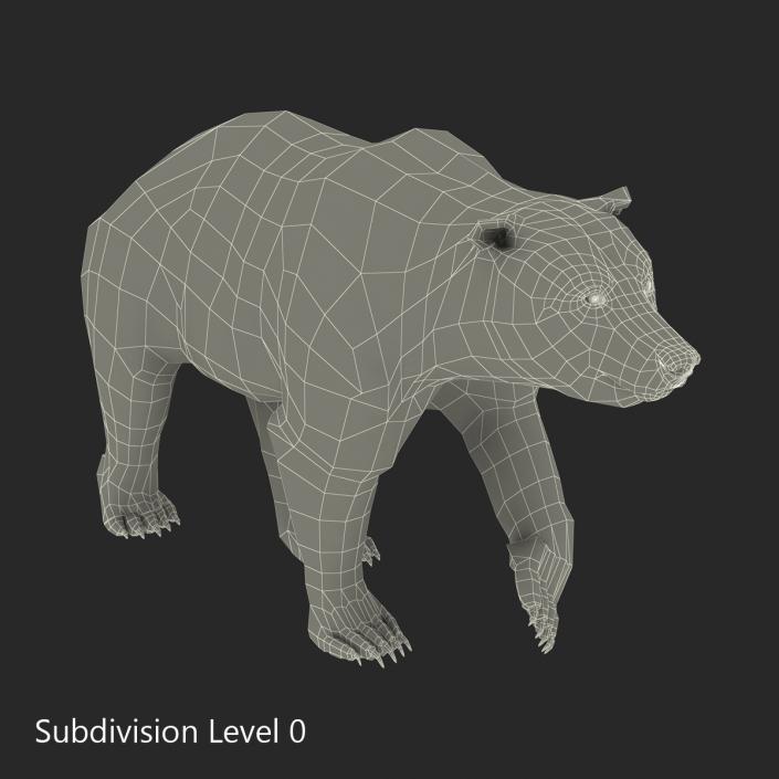 3D Brown Bear with Fur Pose 2