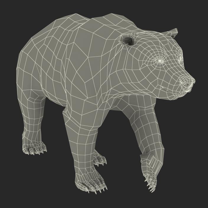 3D Brown Bear with Fur Pose 2