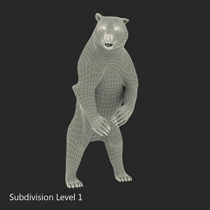 3D Brown Bear Standing Pose with Fur model