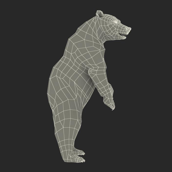 3D Brown Bear Standing Pose with Fur model