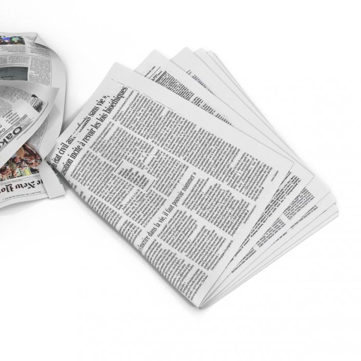 3D Newspaper Litter