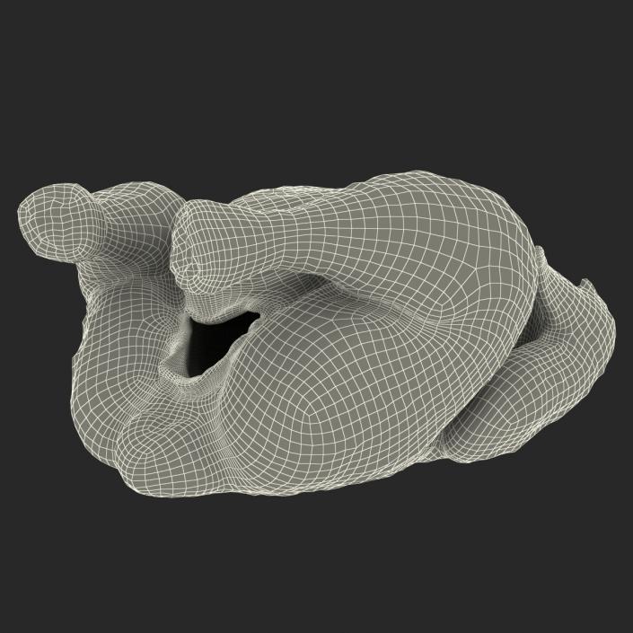 Roasted Turkey 3D model