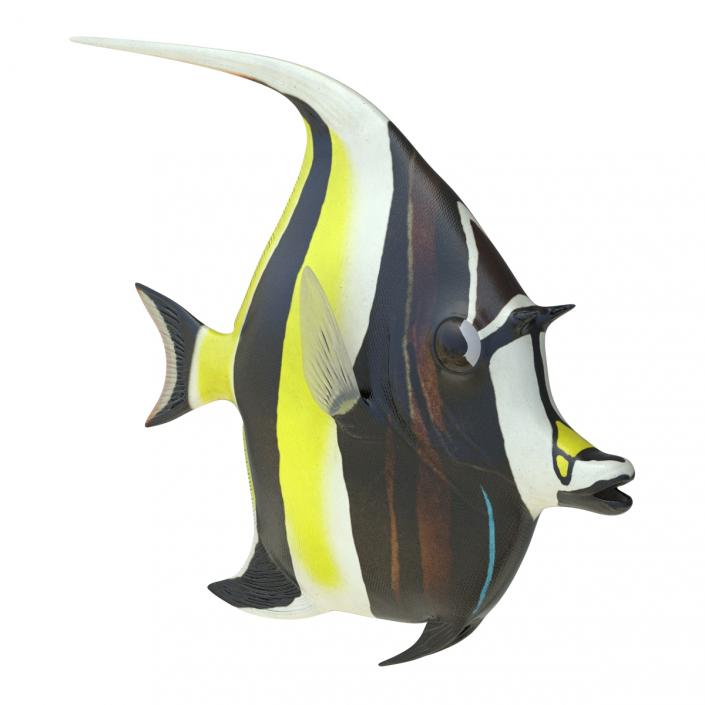 Moorish Idol Fish Rigged 3D model