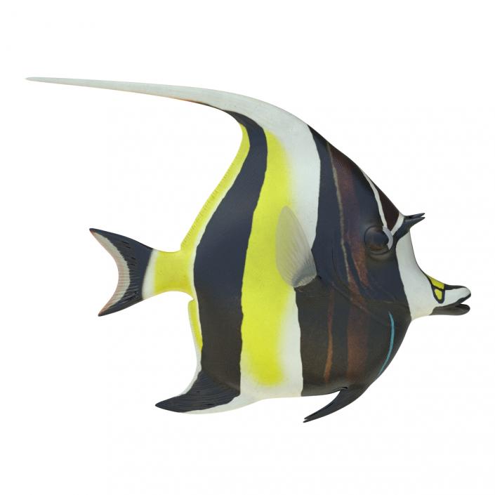 Moorish Idol Fish 3D
