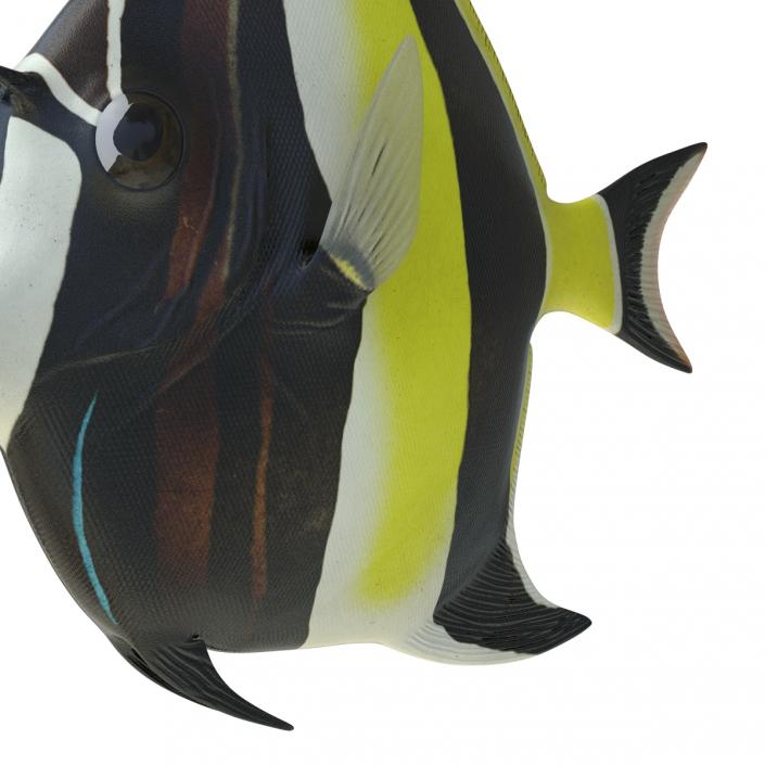Moorish Idol Fish 3D