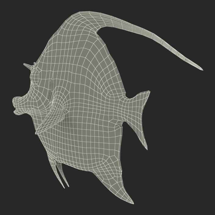 Moorish Idol Fish Pose 2 3D model