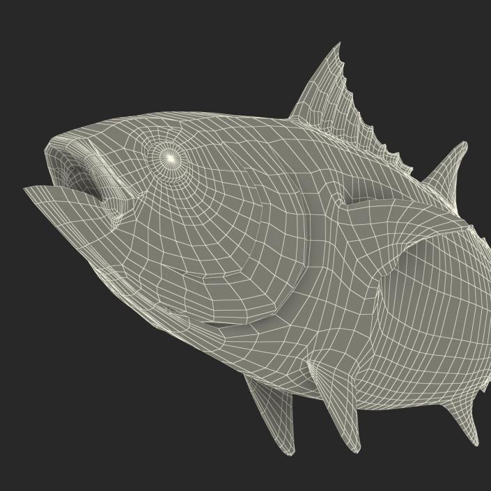3D Tuna Fish Rigged