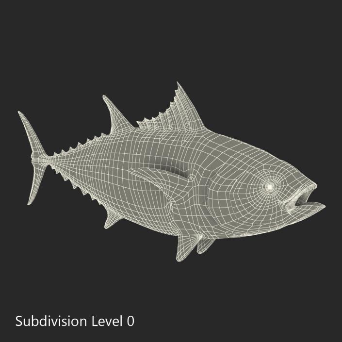 Tuna Fish 3D model