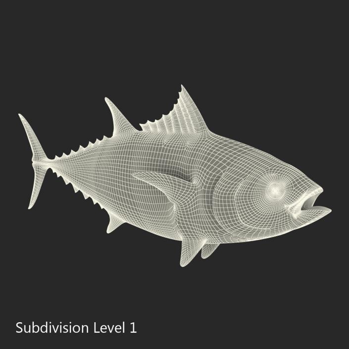 Tuna Fish 3D model