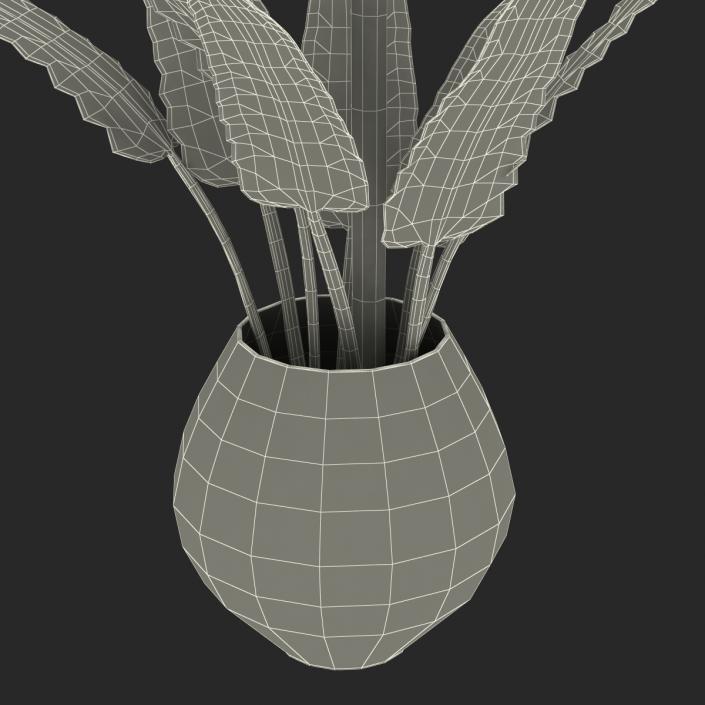 3D model Bird of Paradise in Glass Vase