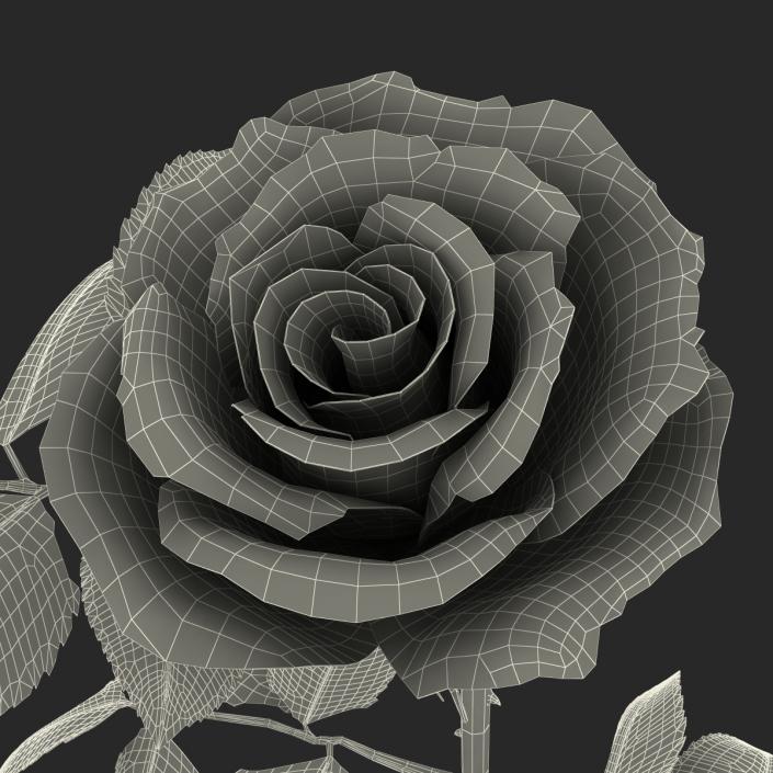 3D model Rose 3