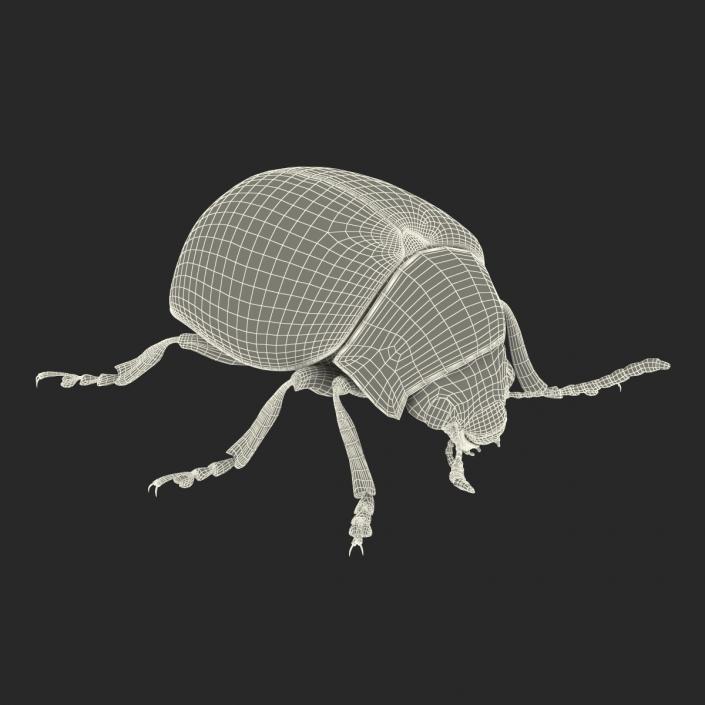 3D Colorado Potato Beetle with Fur