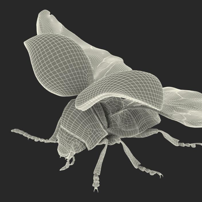 Colorado Potato Beetle 2 3D model