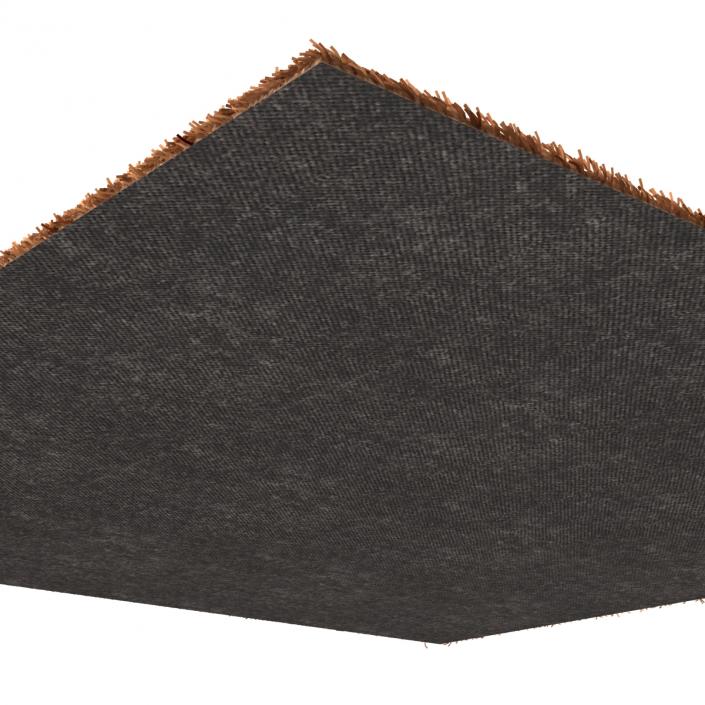 Carpet Beige 3D
