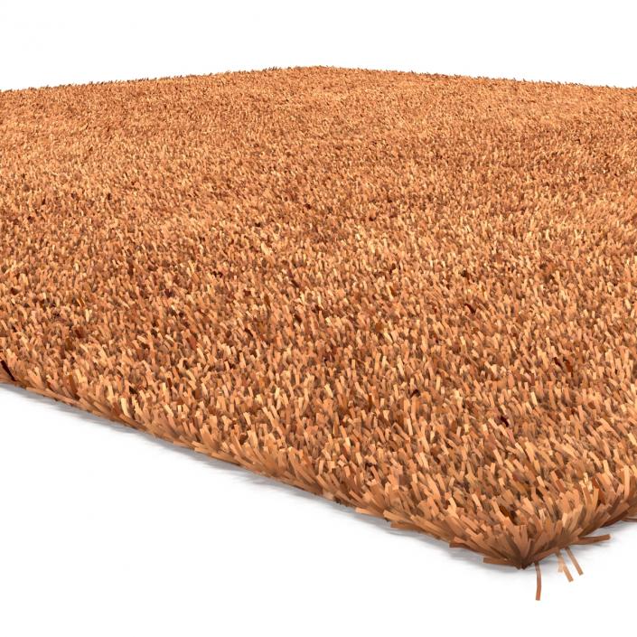 Carpet Beige 3D