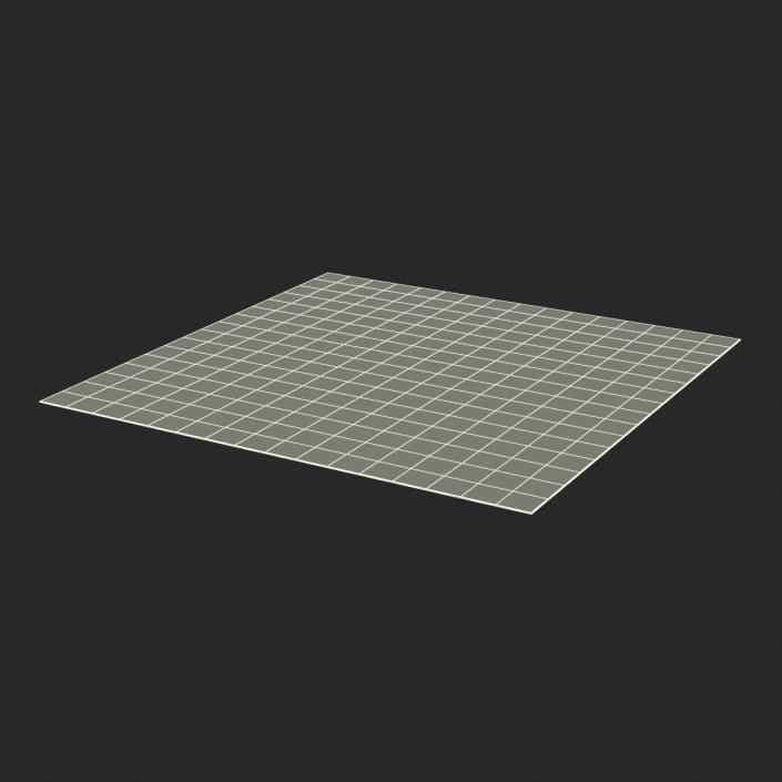 Carpet White 3D