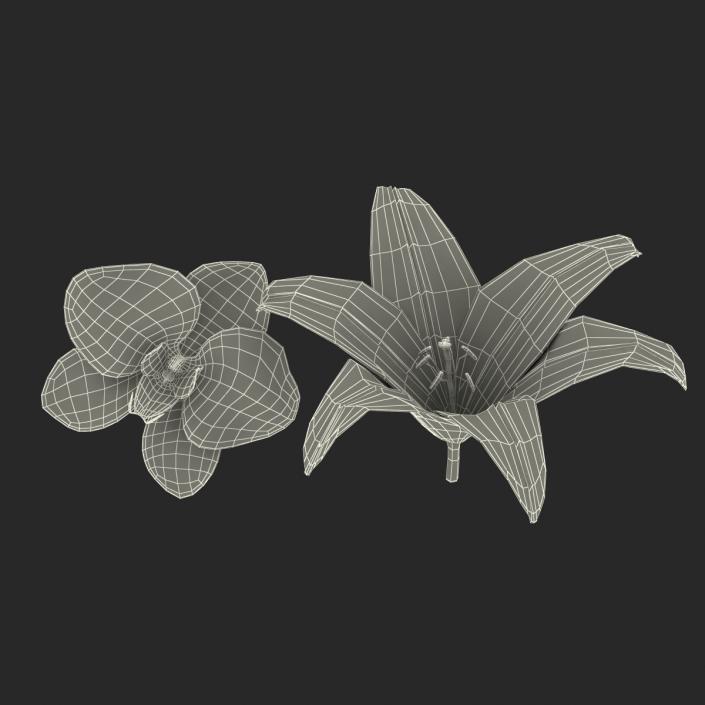 3D Flowers Collection model