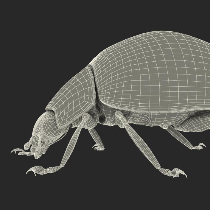 LadyBug 3D model