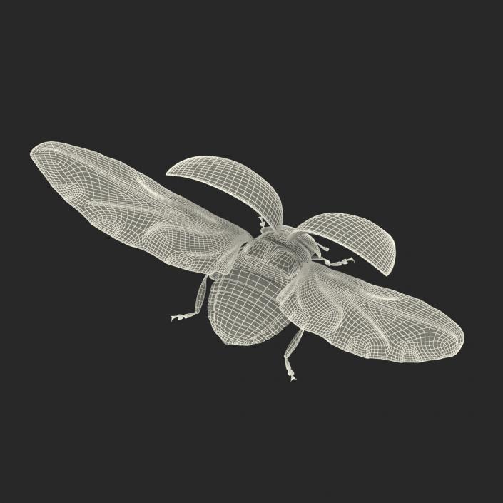 Flying Ladybug 3D model