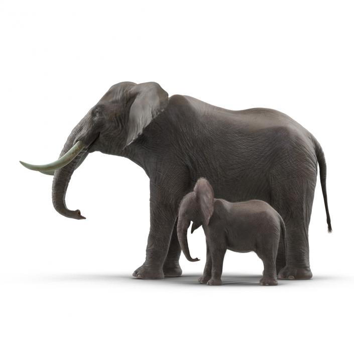 Elephants Collection 2 3D