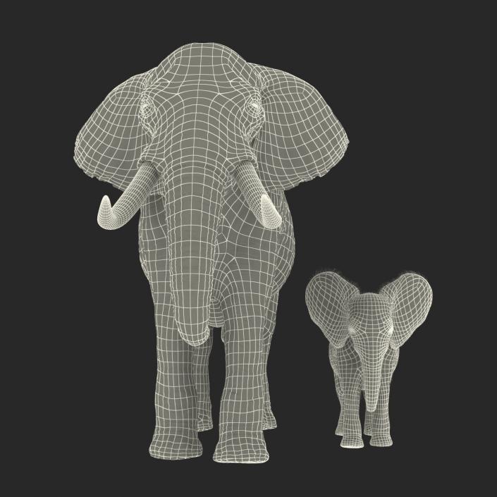 Elephants Collection 2 3D