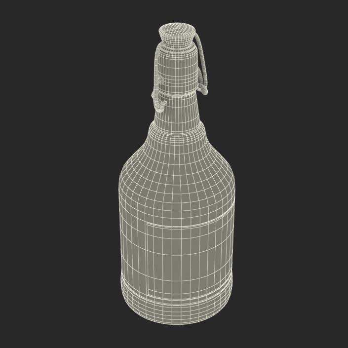 3D Cold Brew Bottle 2 model