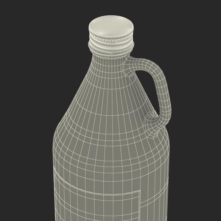 3D Cold Brew Bottle 5 model