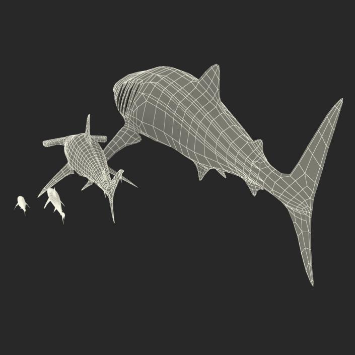 Sharks Collection 8 3D model