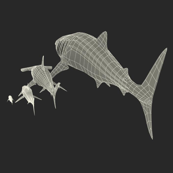 3D model Sharks Collection 10