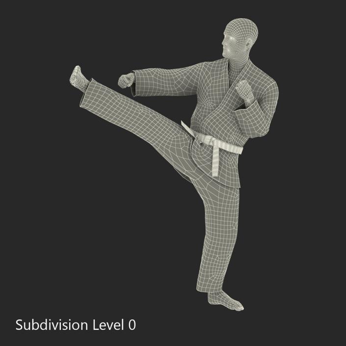 3D Karate Fighter Pose 2