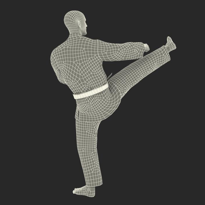 3D Karate Fighter Pose 2