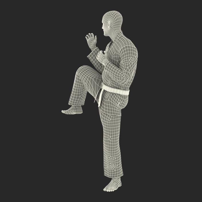 3D Karate Fighter Pose 3