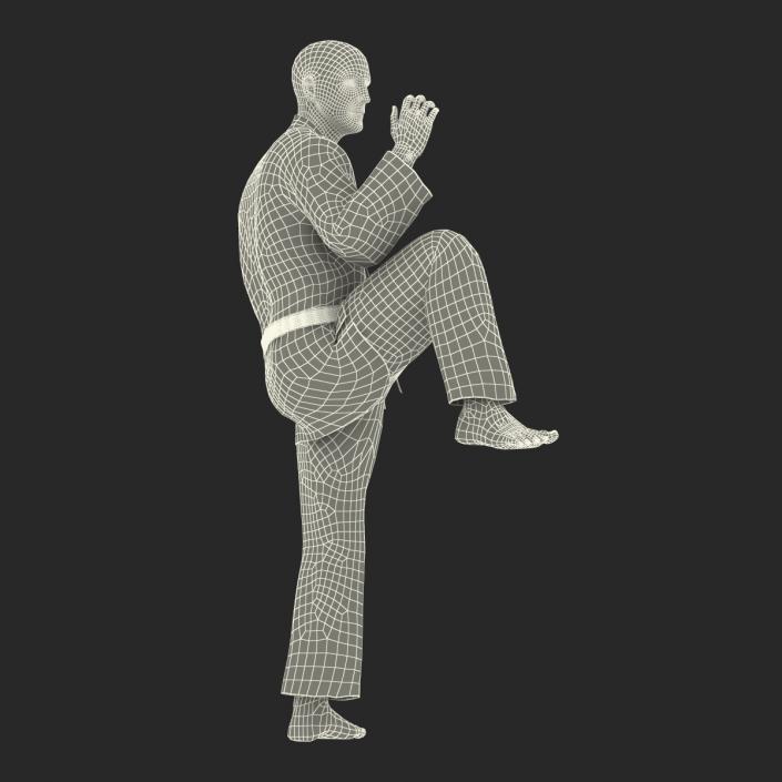 3D Karate Fighter Pose 3