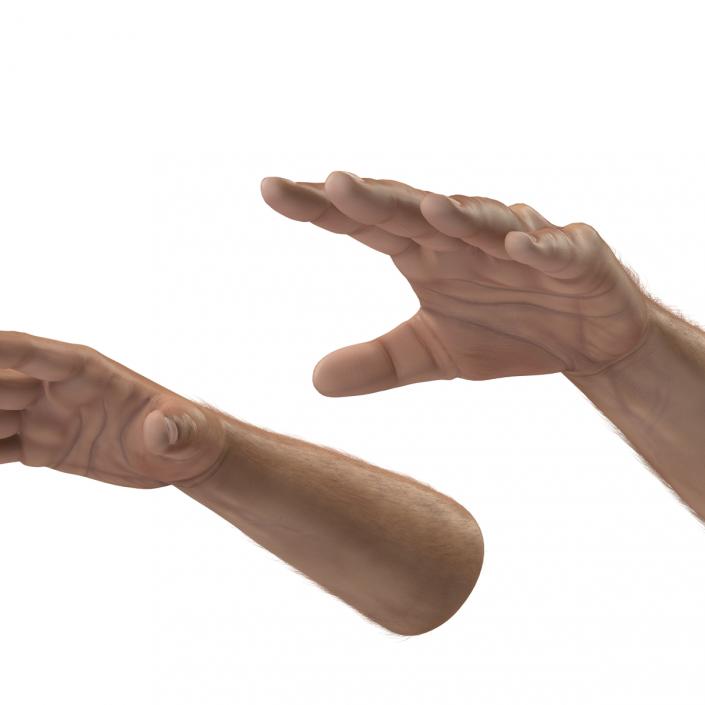 3D Man Hands with Fur model