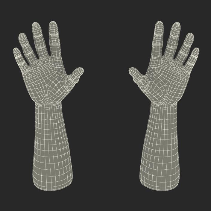 3D Man Hands with Fur model